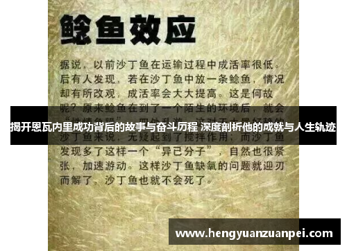 揭开恩瓦内里成功背后的故事与奋斗历程 深度剖析他的成就与人生轨迹